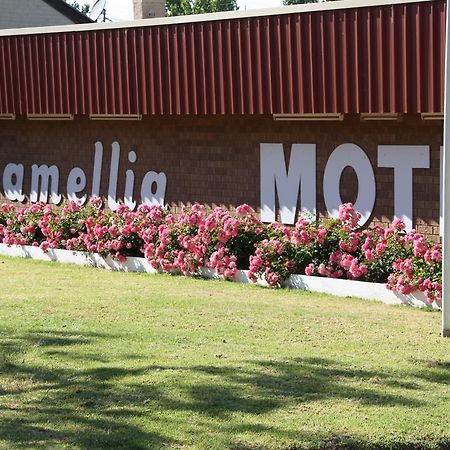 Camellia Motel Нарандера Екстериор снимка