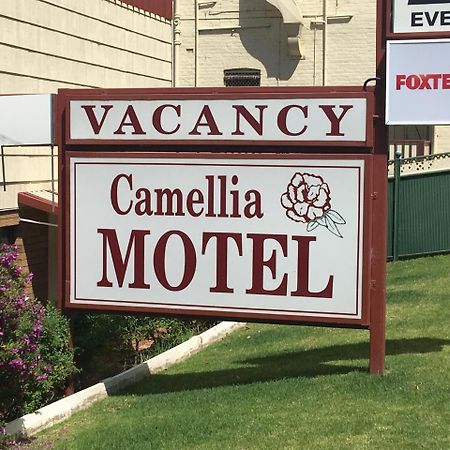 Camellia Motel Нарандера Екстериор снимка